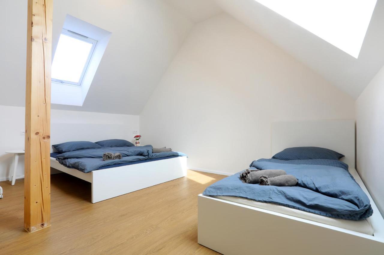Apartment Frolkova